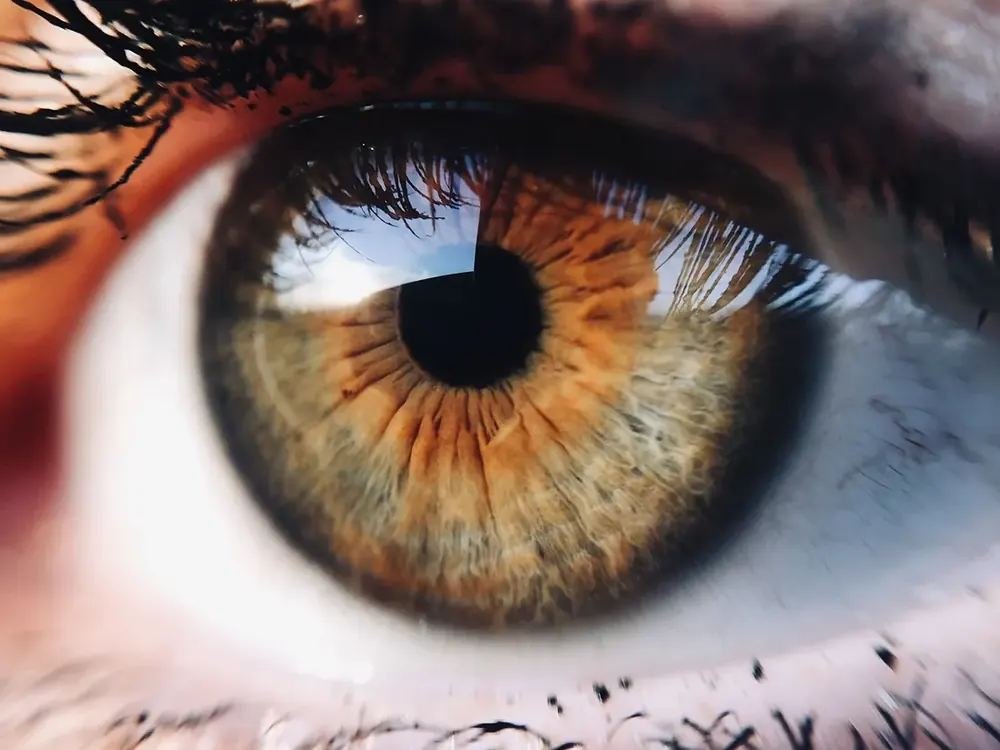 Portada de la web de Iris